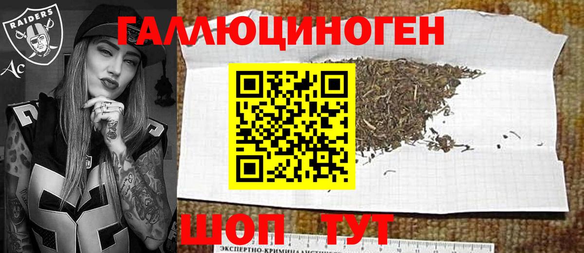 Галлюциногенные грибы Psilocybe  Вход с VPN  Углич 